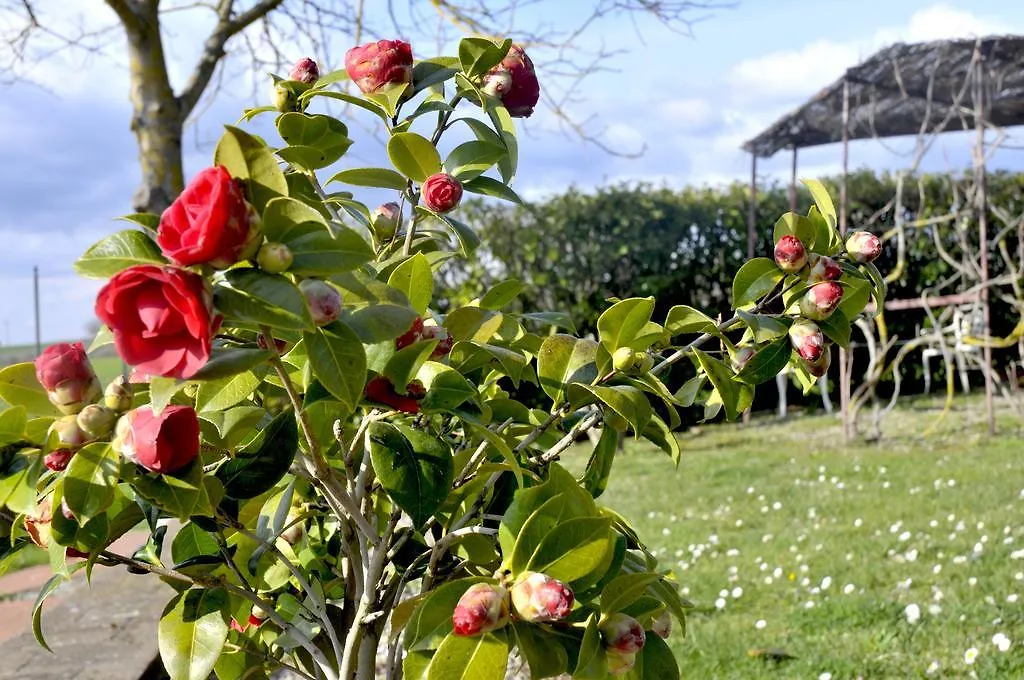 Bed & Breakfast Podere Lornanino Monteriggioni
